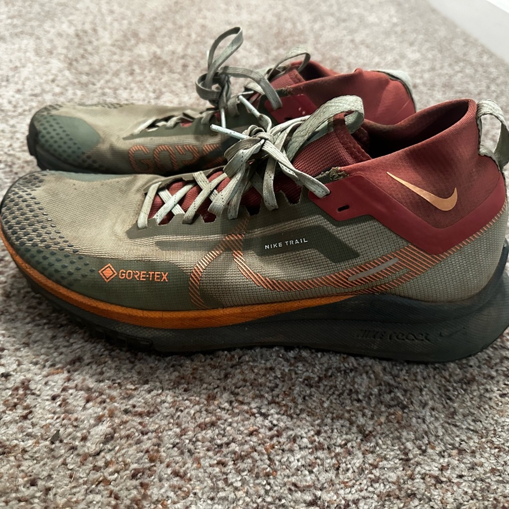 Nike Goretex Pegasus Men’s 11